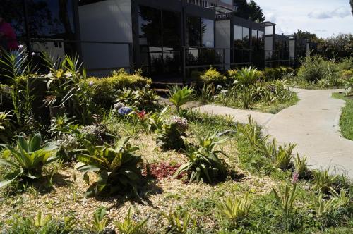 Фотография гостиницы Hotel Isak Aeropuerto