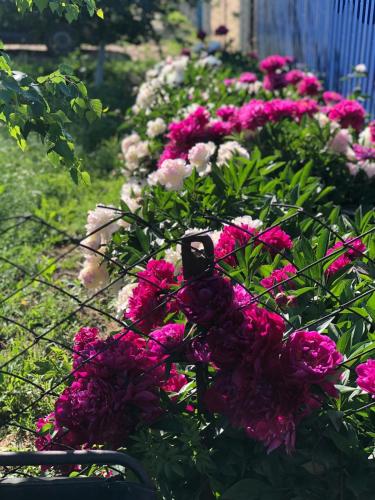 Фотографии кемпинга
Ночлег