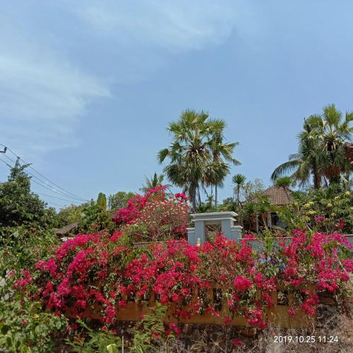 Фотография гостевого дома Frangipani Inn & Restaurant