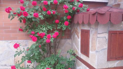 Фотография гостевого дома Vesi's Rooms