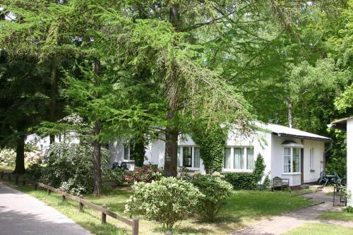 Фотография гостевого дома Ferienresort Damerow