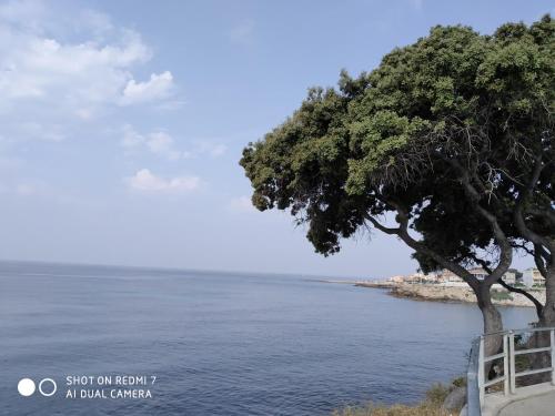 Фотография гостевого дома Studio Sausset les pins