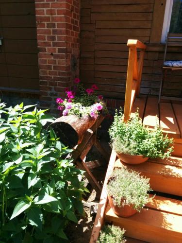 Фотография гостевого дома Viesu Nams Vilhelmīne