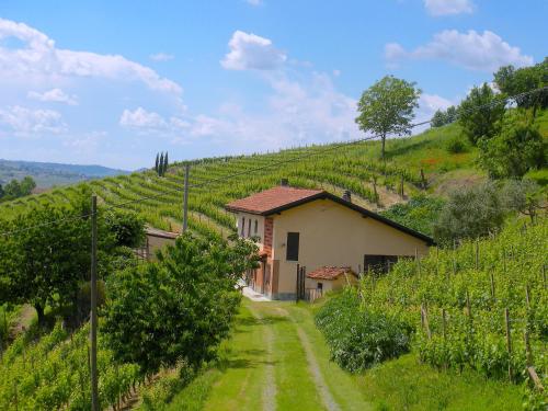 Фотография гостевого дома Cascina tra i vigneti a Nizza Monferrato