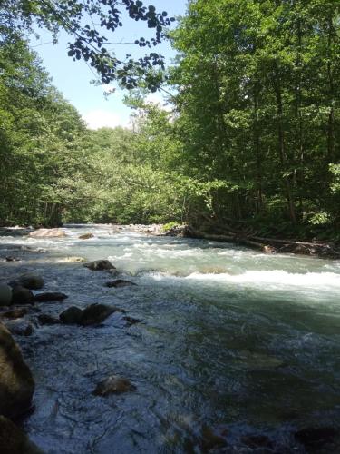 Фотографии кемпинга
Медвежий угол