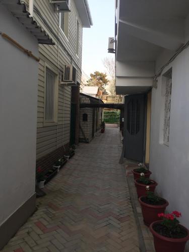 Фотография гостевого дома Максимус на Терской