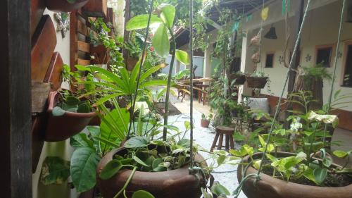 Фотография мини отеля Pousada e Pizzaria Sol e Alegria