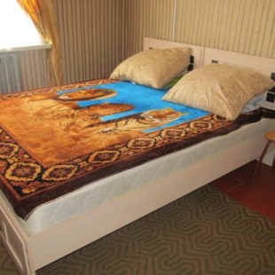 Фотография мини отеля Диана