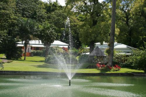 Фотография гостевого дома Les Cycas