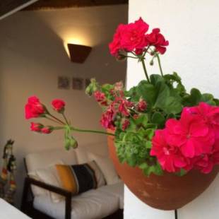 Фотографии гостевого дома
Casa da Galega