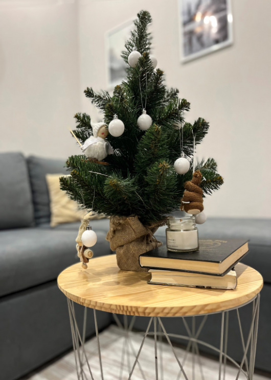 Фотографии квартиры 
            Апартаменты с видом на горы