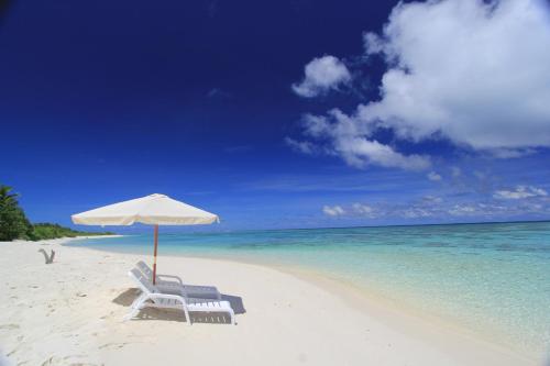 Фотография гостевого дома Sevinex Inn