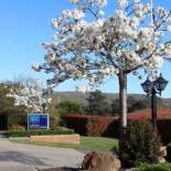 Фотография мотеля Hume Country Motor Inn