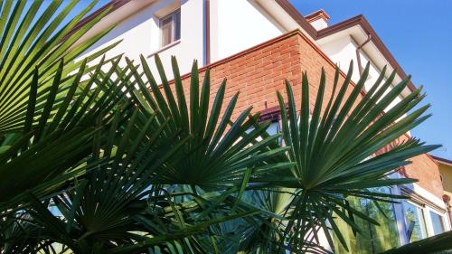 Фотография гостевого дома Dream