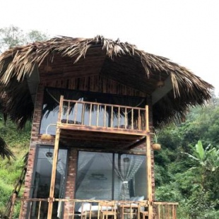 Фотография гостиницы Plum Eco House