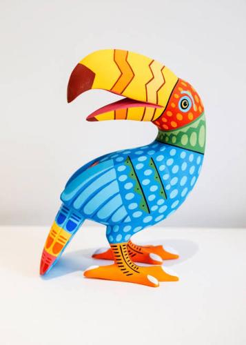 Фотография гостиницы Hotel Tucán Veracruz