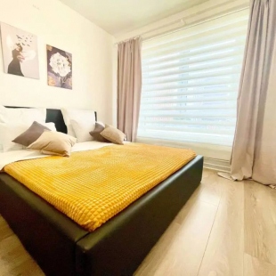 Фотография квартиры Апартаменты Sunny Days Apartment Жулебино Парк 3