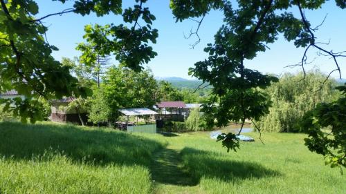 Фотографии гостевого дома
ШирванкаLIFE