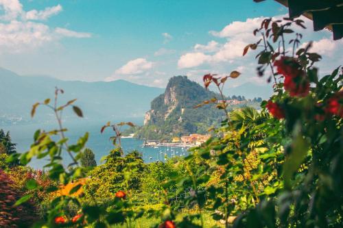Фотография гостевого дома Casa Elena