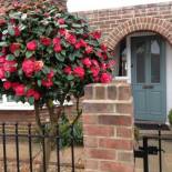 Фотография мини отеля NUMBER 19