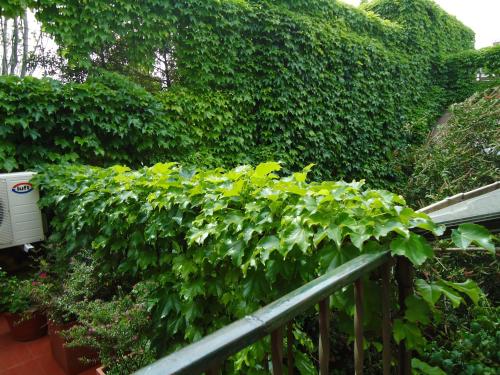 Фотография гостиницы Rugantino Hotel Boutique