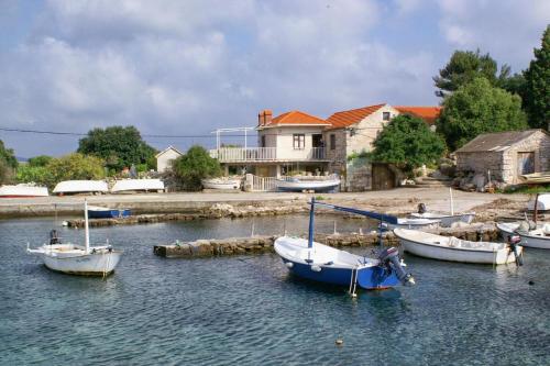 Фотография гостевого дома Apartments by the sea Prizba, Korcula - 4479