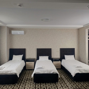 Фотография гостиницы Репин