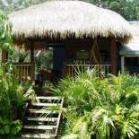 Фотография хостела Mango tourist Hostel