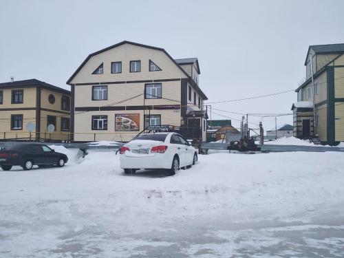 Фотография хостела TazHostel