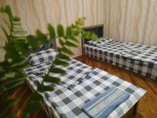 Фотография гостевого дома Park Bobur Apt 5x