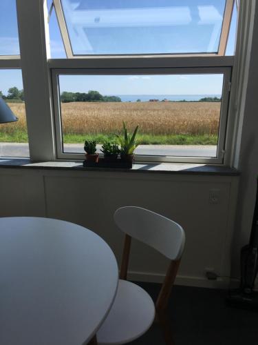 Фотография гостиницы Samsted