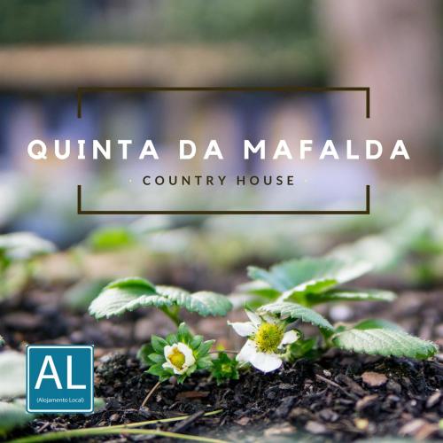 Фотография гостевого дома Quinta da Mafalda