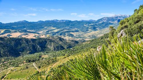 Фотография гостиницы Casas Rurales Los Algarrobales