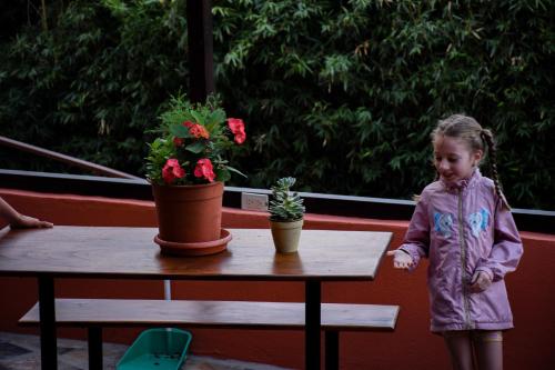 Фотография мини отеля Cabinas Eddy B&B