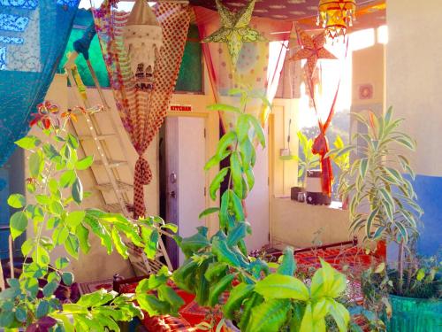 Фотография гостиницы Golden Marigold Hotel