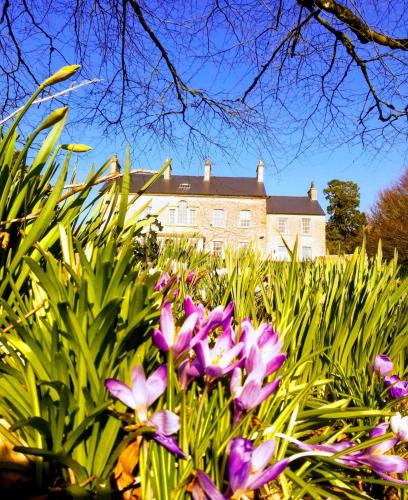 Фотография мини отеля Dunmore Gardens