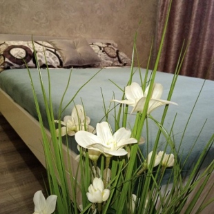 Фотография квартиры Апартаменты на улице Строителей 3 корпус 2