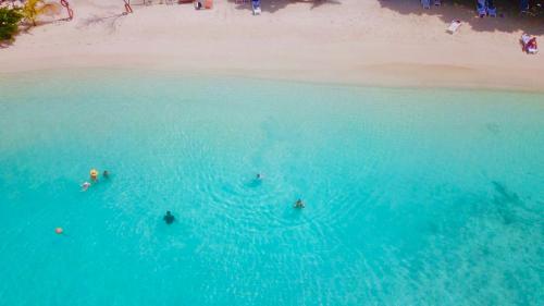 Фотография гостевого дома Leisure Inn Guest House