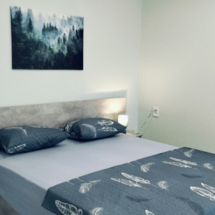 Фотография квартиры Квартира 1к Володарского 15 Центр