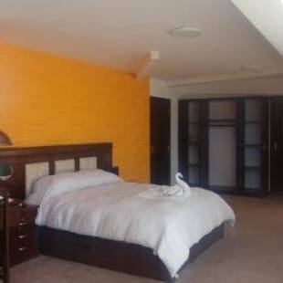 Фотографии гостиницы
Hotel Alexander