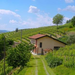 Фотографии гостевого дома
Cascina tra i vigneti a Nizza Monferrato