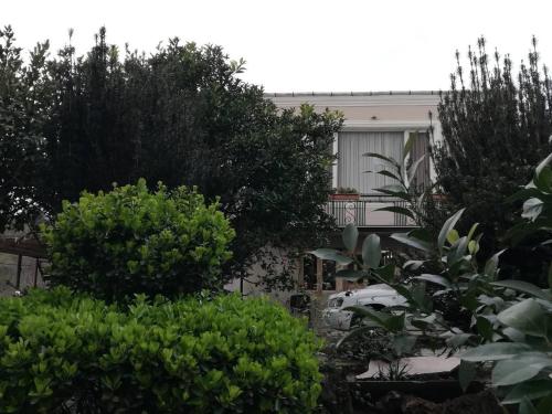 Фотография мини отеля Hillside