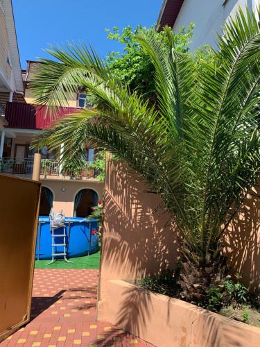 Фотография гостевого дома Ангелина Каролина