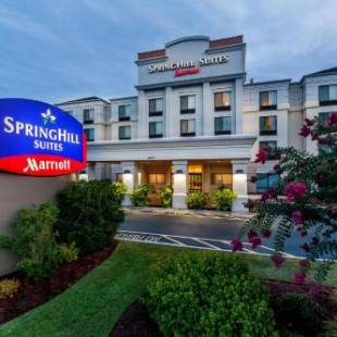 Фотографии гостиницы
SpringHill Suites Florence