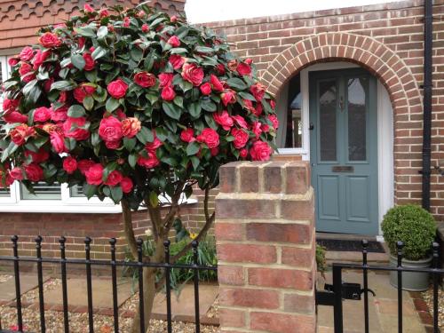 Фотография мини отеля NUMBER 19