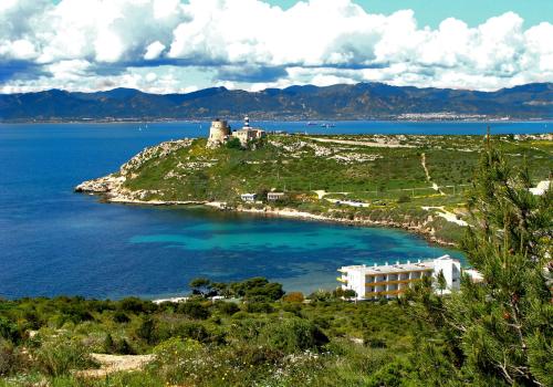 Фотография гостиницы Hotel Calamosca