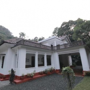 Фотография гостевого дома Vanilla County Heritage Plantation Bungalow