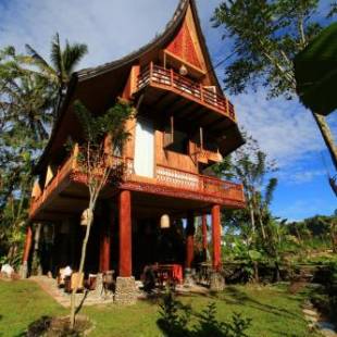 Фотографии гостиницы 
            Padi Ecolodge