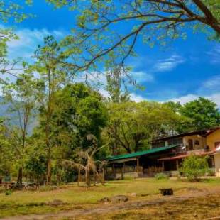 Фотографии гостиницы
Jungle Hut