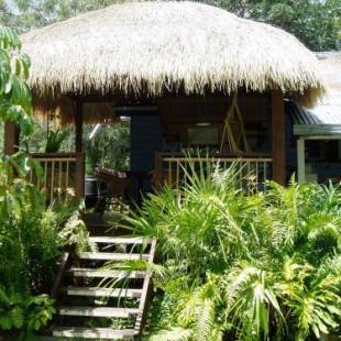 Фотографии хостела
Mango tourist Hostel